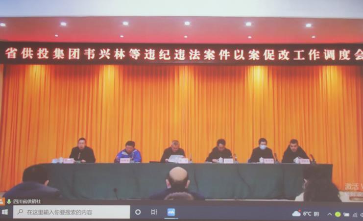 省供投集團召開“韋興林等違紀違法案件 以案促改”工作調(diào)度會